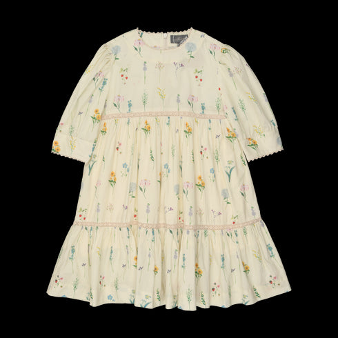 Sweet Threads Lucinda Dress